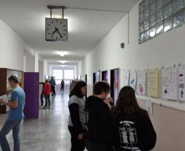 Mezinárodní den matematiky