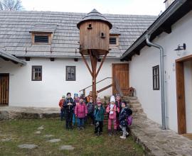 Dům přírody - Krátká - 1. ročník
